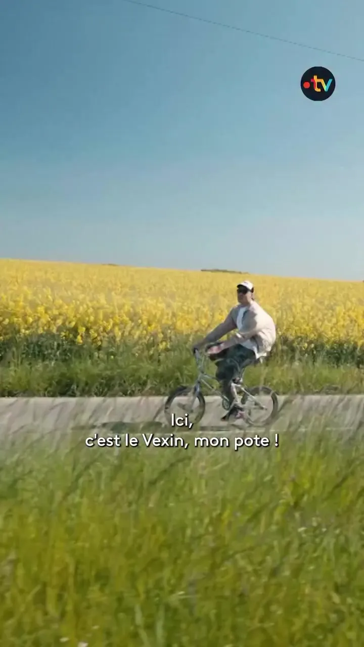 Across the Vexin by bike: a cyclist rides past a yellow rapeseed field, vertical film for Graille sur le rail
