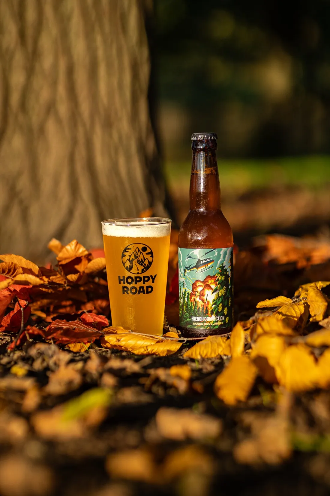 Glass and bottle of French Connection with its turquoise label in autumn leaves at the foot of a tree, Hoppy Road