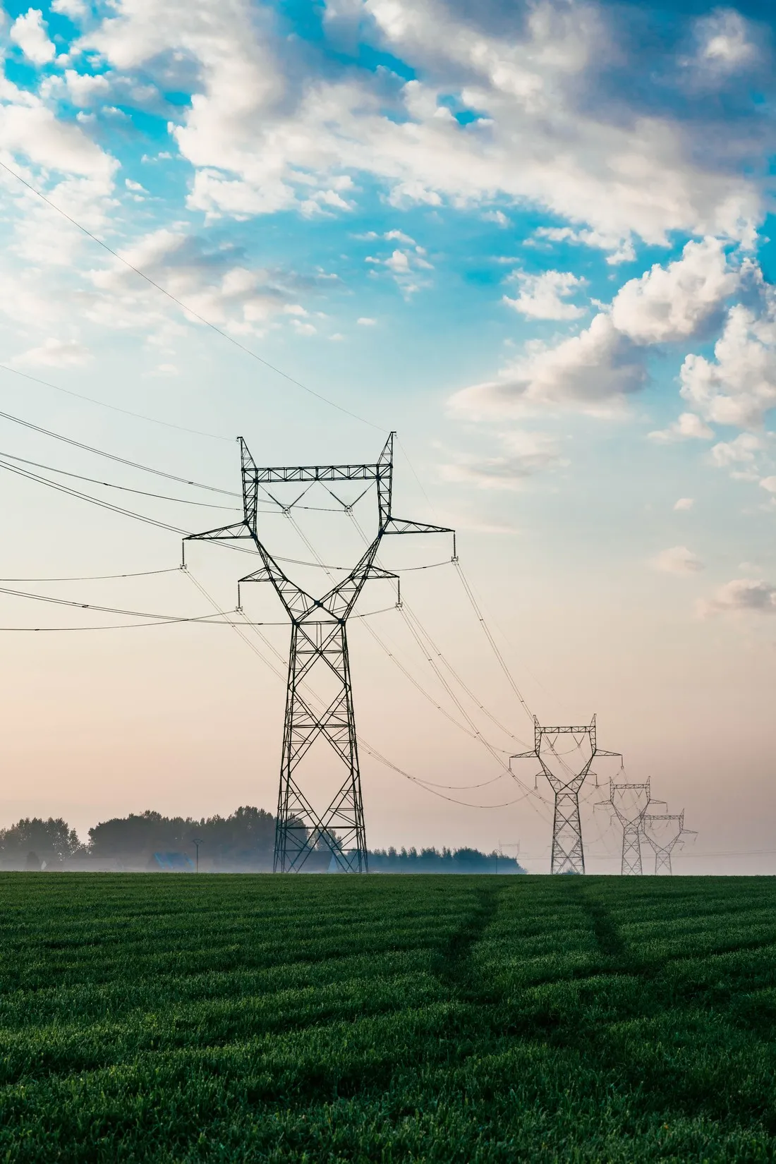 Electricity pylons crossing a green field under a pastel sky, McCain farming families