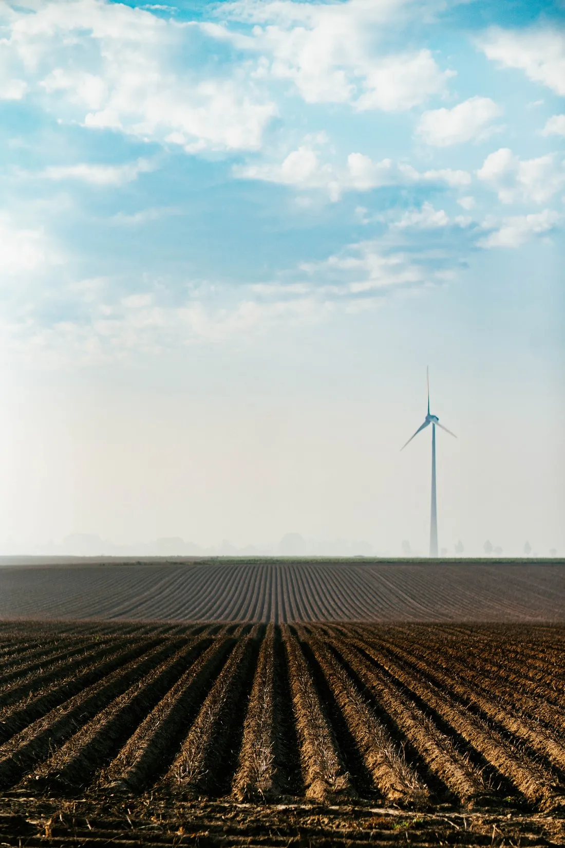 Single wind turbine on the horizon beyond long ploughed rows, McCain farming families