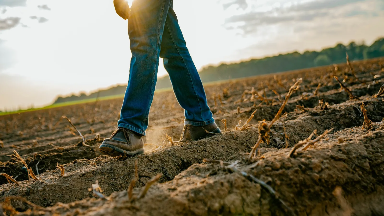 Boots and jeans walking across dry, freshly worked soil in low sun, McCain farming families