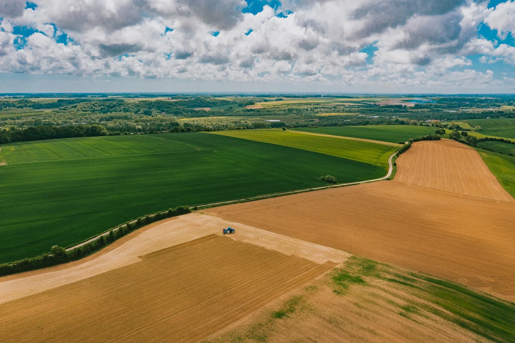 Aerial view of green and golden fields stretching to the horizon, McCain regenerative agriculture