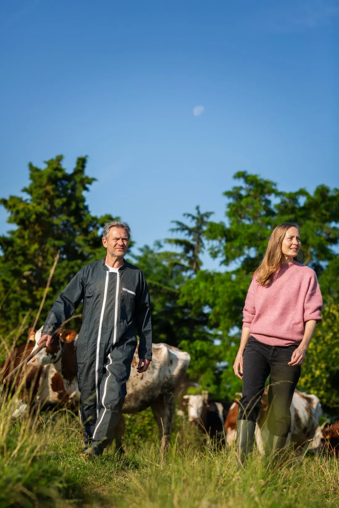 Man in work overalls and a woman in a pink sweater walking among cows, Mutualité sociale agricole