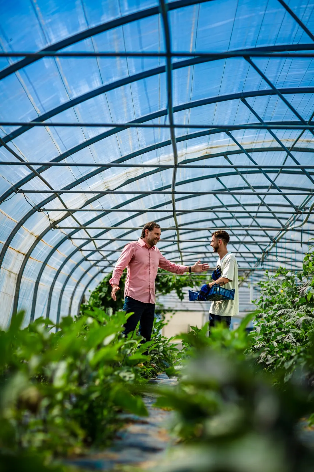Two men shaking hands in a greenhouse full of plants, Mutualité sociale agricole campaign