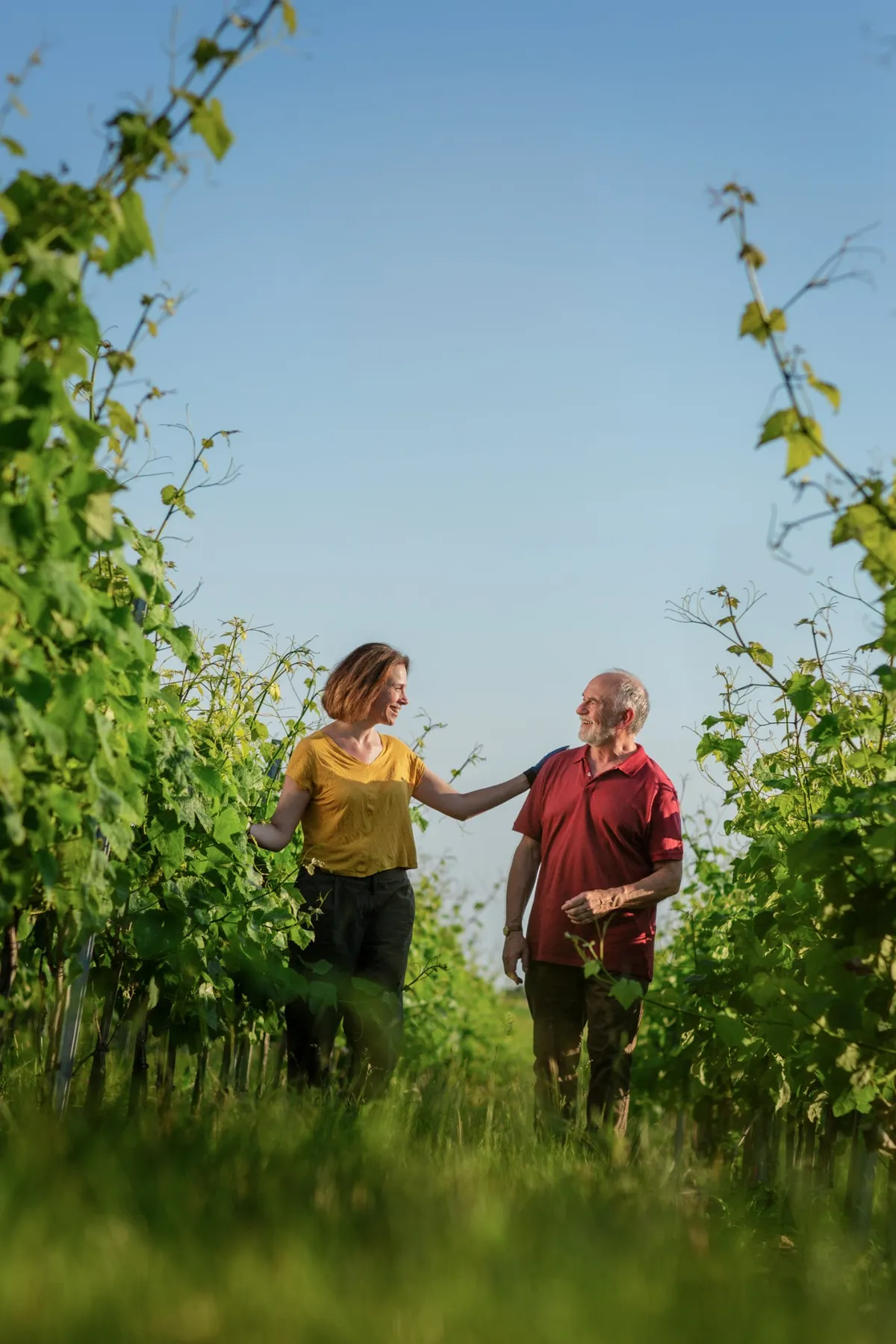 Woman in a yellow top and an older man in red talking between vine rows, Mutualité sociale agricole
