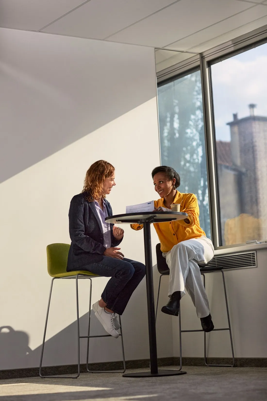 Two women talking at a high table in a bright office by a large window, Mutualité sociale agricole